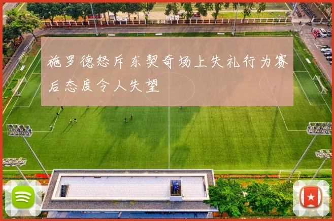 施罗德怒斥东契奇场上失礼行为赛后态度令人失望