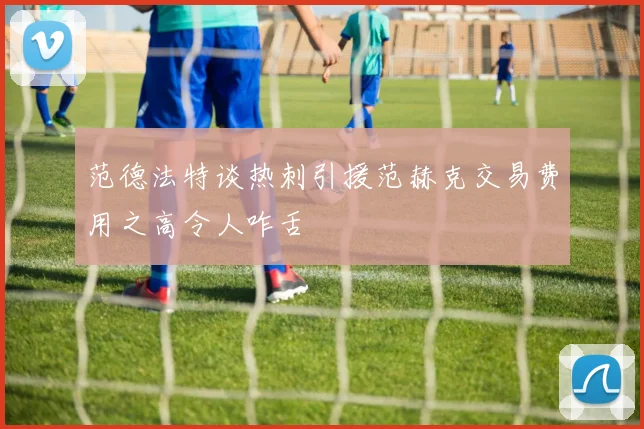 范德法特谈热刺引援范赫克交易费用之高令人咋舌