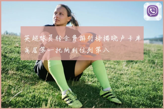英超球员转会费排行榜揭晓卢卡库高居第一托纳利位列第八