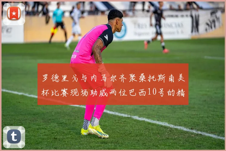 罗德里戈与内马尔齐聚桑托斯南美杯比赛现场助威两位巴西10号的精彩时刻