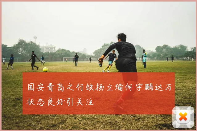 国安青岛之行缺杨立瑜何宇鹏达万状态良好引关注