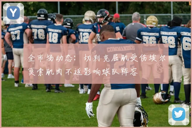 全市场动态：切利克屈肌受伤埃尔莫索肌肉不适影响球队阵容